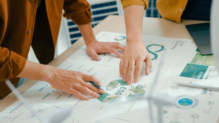 Finance masters shift from idealism to pragmatism on under fire ESG